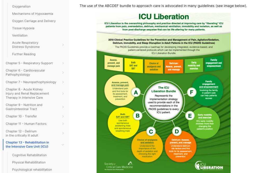 Course manual — ICU Liberation bundle
